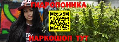 молекула духа Кимры