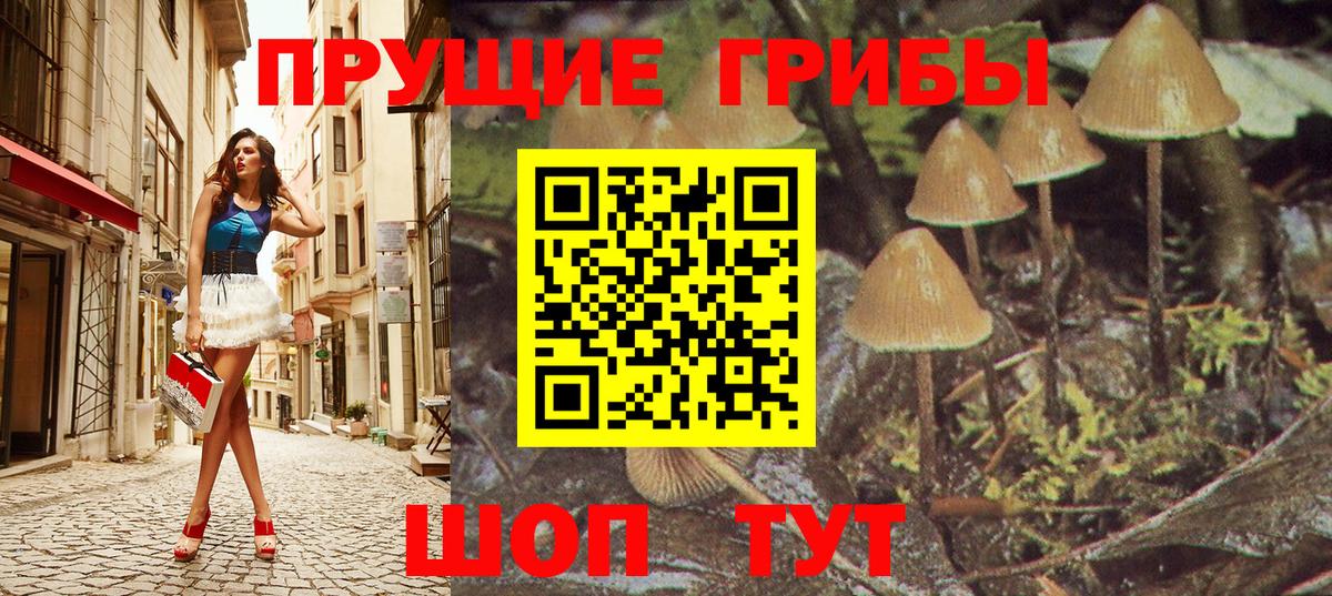 Псилоцибиновые грибы ЛСД Буйнакск